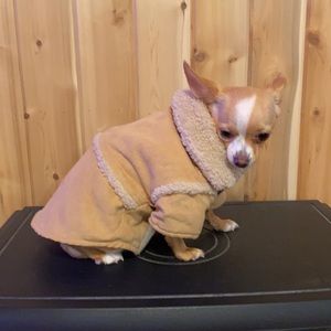 woolrich dog jacket